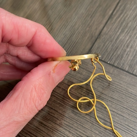 TRI CHEM SUN GLO ND BIRD PIN to paint TRICHEM - Picture 10 of 16